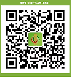 國際版WeChat.png