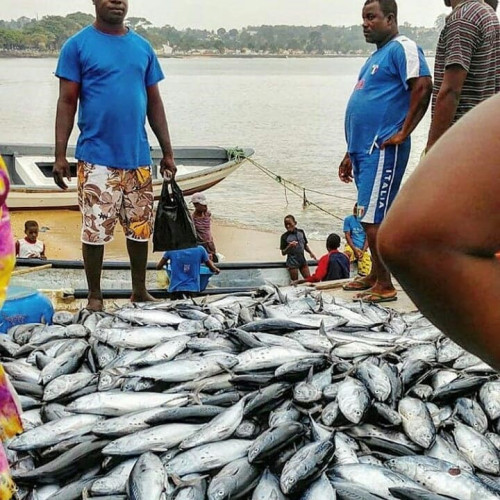 Pesca em São Tomé e Príncipe