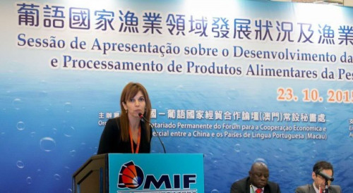 Presentations by representatives of Portuguese-speaking Countries