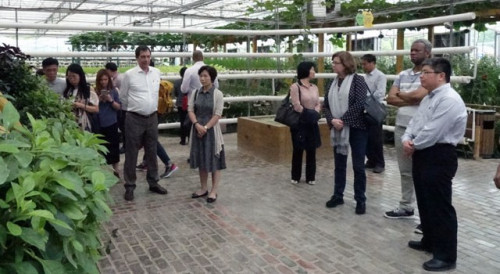Visit to the Modern Agricultural Exhibition Area of Shatou