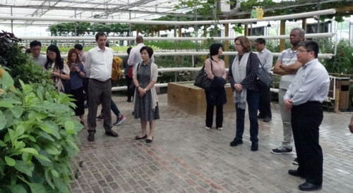 Visita à Zona de Exibição da Agricultura Avançada Moderna de Shatou