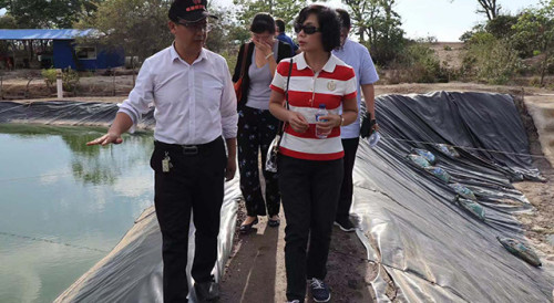 Visita ao projecto de maricultura em Timor-Leste da Yuan Long Ping High-Tech Agriculture Co. Ltd.