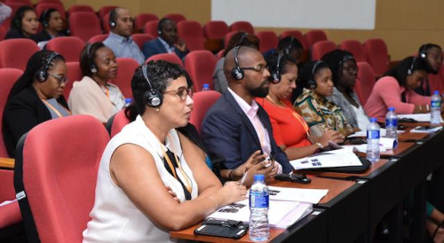 Participants take part in seminar session