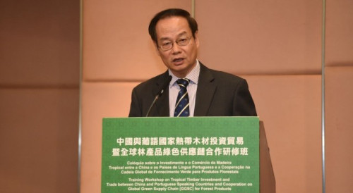 Director-General of the Department of Hong Kong, Macao and Taiwan Affairs at the Ministry of Commerce representative, Mr Sun Tong, delivers a speech