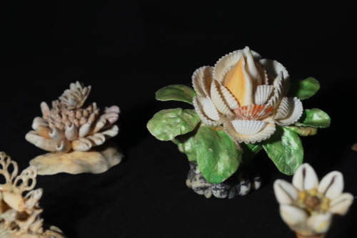 Goa, Damão e Diu: seashell crafts