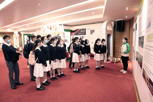Students visiting the art exhibitions