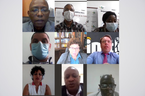 Cartaz da 3.ª Sessão do Curso de Formação Online sobre o Uso de Medicina Tradicional no Combate à Pandemia de COVID-19