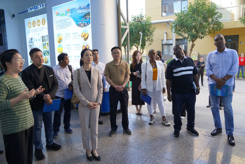 Visita da Delegação do Secretariado Permanente a empresas locais