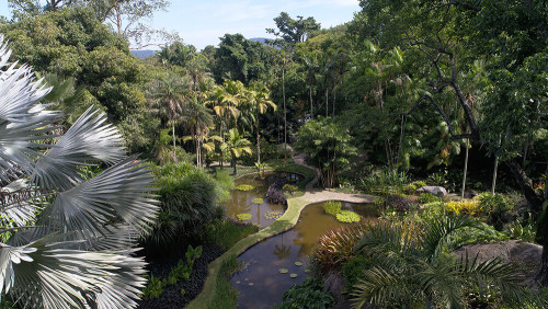 2021 – Sítio Roberto Burle Marx